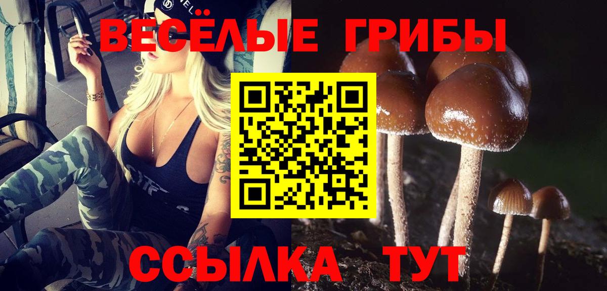 Новочебоксарск  Псилоцибиновые грибы Cubensis  где купить   Вход с VPN 